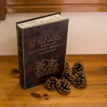 아파트 Bridge 리메나리아